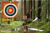 game pic for Crossbow Shooting